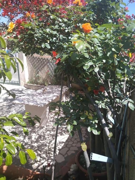 شقة Gollai House أروسييْ المظهر الخارجي الصورة