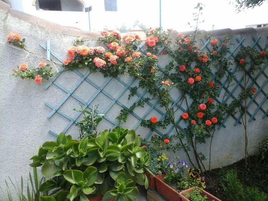 شقة Gollai House أروسييْ المظهر الخارجي الصورة